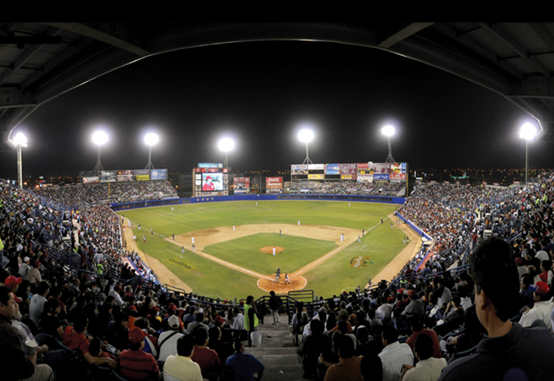 D3LED says sporting arenas in the region will benefit from the company's technology. D3LED says sporting arenas in the region will benefit from the company's technology.