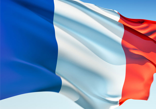Seventeen French companies took part in CABSAT MENA 2009. Seventeen French companies took part in CABSAT MENA 2009.