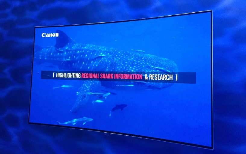 Canon supports shark documentary, News, Content production Canon supports shark documentary, News, Content production