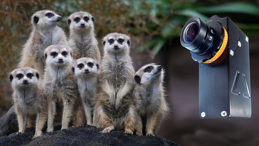 Camera Corps' MeerCat. Camera Corps' MeerCat.