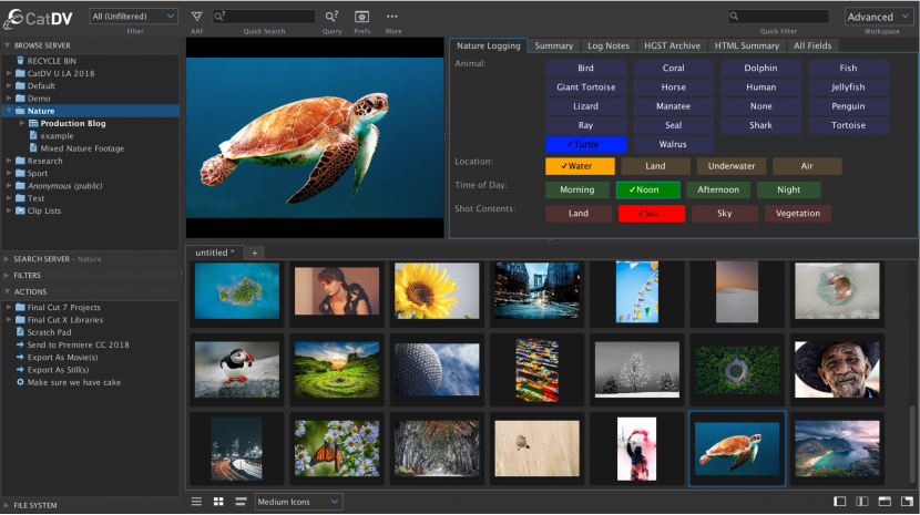 Square Box CatDV Media Asset Management Square Box CatDV Media Asset Management