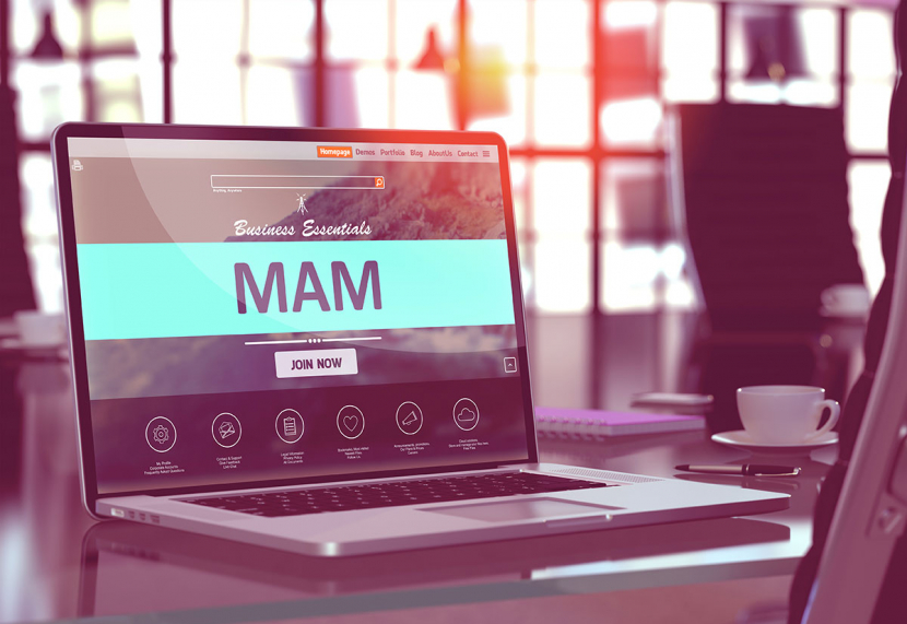 Tedial, VSN, Primestream, Prime Focus, Media asset management, MAM, IMF spec, Artificial intelligence, Interoperability Tedial, VSN, Primestream, Prime Focus, Media asset management, MAM, IMF spec, Artificial intelligence, Interoperability