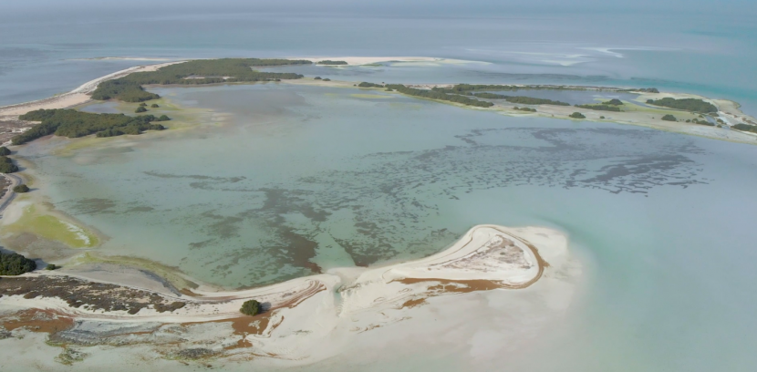 The new show by National Geographic Abu Dhabi is in association with the Environment Agency - Abu Dhabi (EAD) The new show by National Geographic Abu Dhabi is in association with the Environment Agency - Abu Dhabi (EAD)