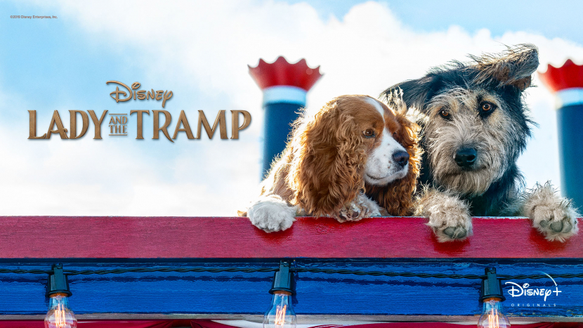 Lady and the Tramp, a Disney original is one of the many new movies that will be available to OSN users. Lady and the Tramp, a Disney original is one of the many new movies that will be available to OSN users.